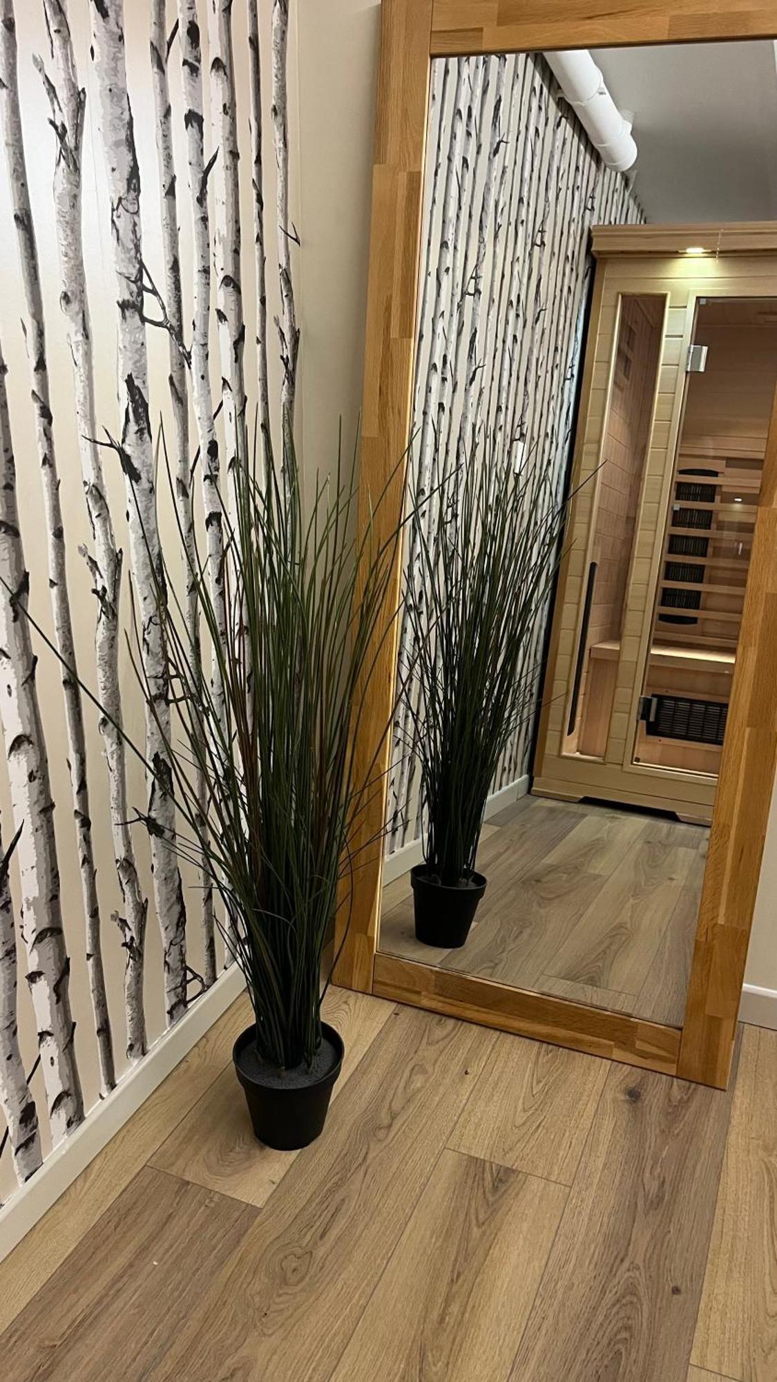 100 M De La Mer, Sauna, Wifi Mers-les-Bains Ngoại thất bức ảnh